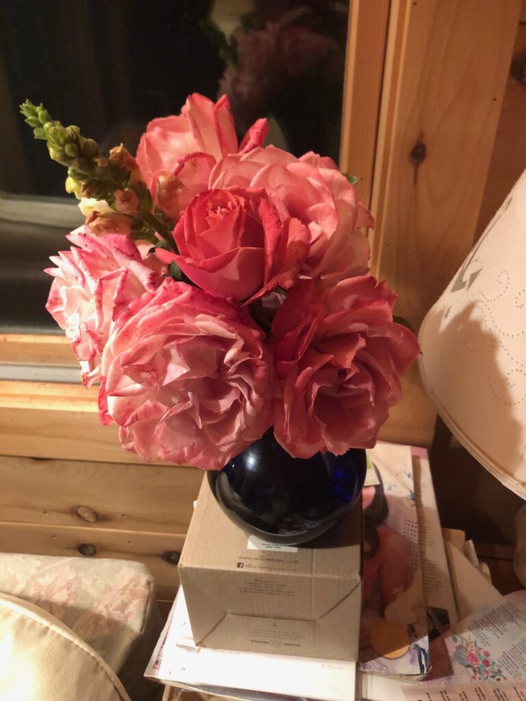 Divorce: An Ending and A Beginning